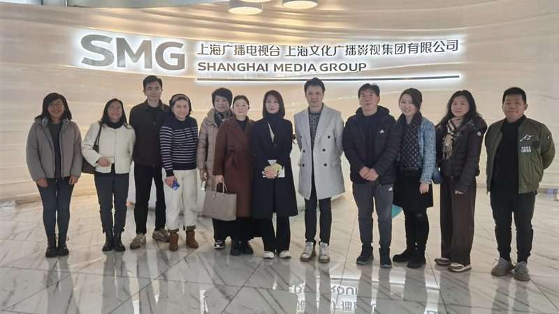 品牌策划方案：解码其优缺点，助力企业精准决策