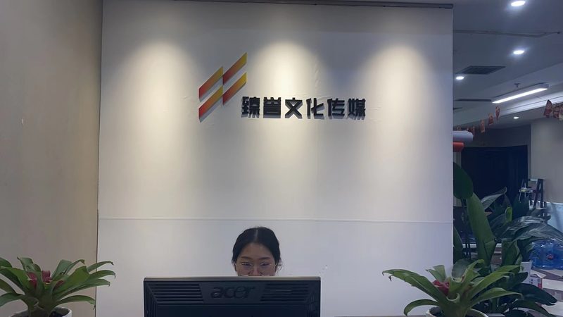 品牌设计公司如何打造视觉盛宴：优秀作品解析